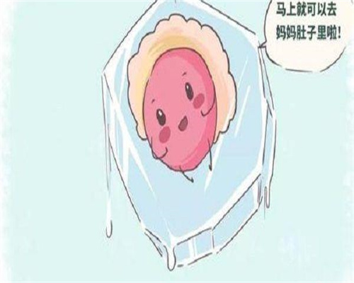 良好心态对提高供卵试管婴儿成功率的重要作用