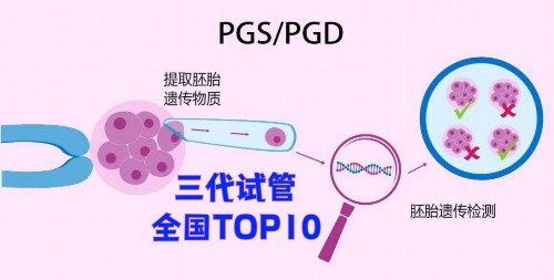 第三代供卵试管婴儿助孕：备孕如何促进卵泡发育，提升助孕成功率