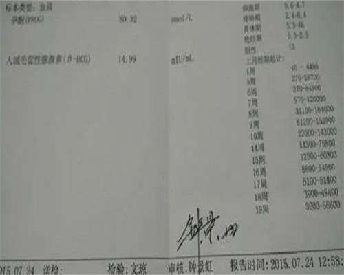 国内高成功率供卵试管求子指南
