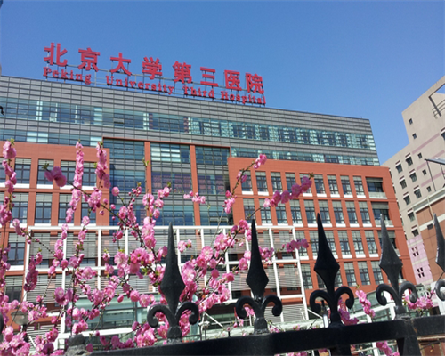 吕进峰：做试管婴儿，该如何选择冷冻胚胎的移植方案？
