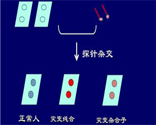 <b>揭秘辅助生殖科技：国内试管助孕的“流水线”</b>